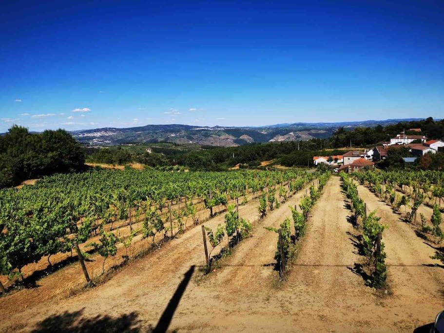 Quinta Da Eira Douro Valley Fermentoes  ภายนอก รูปภาพ