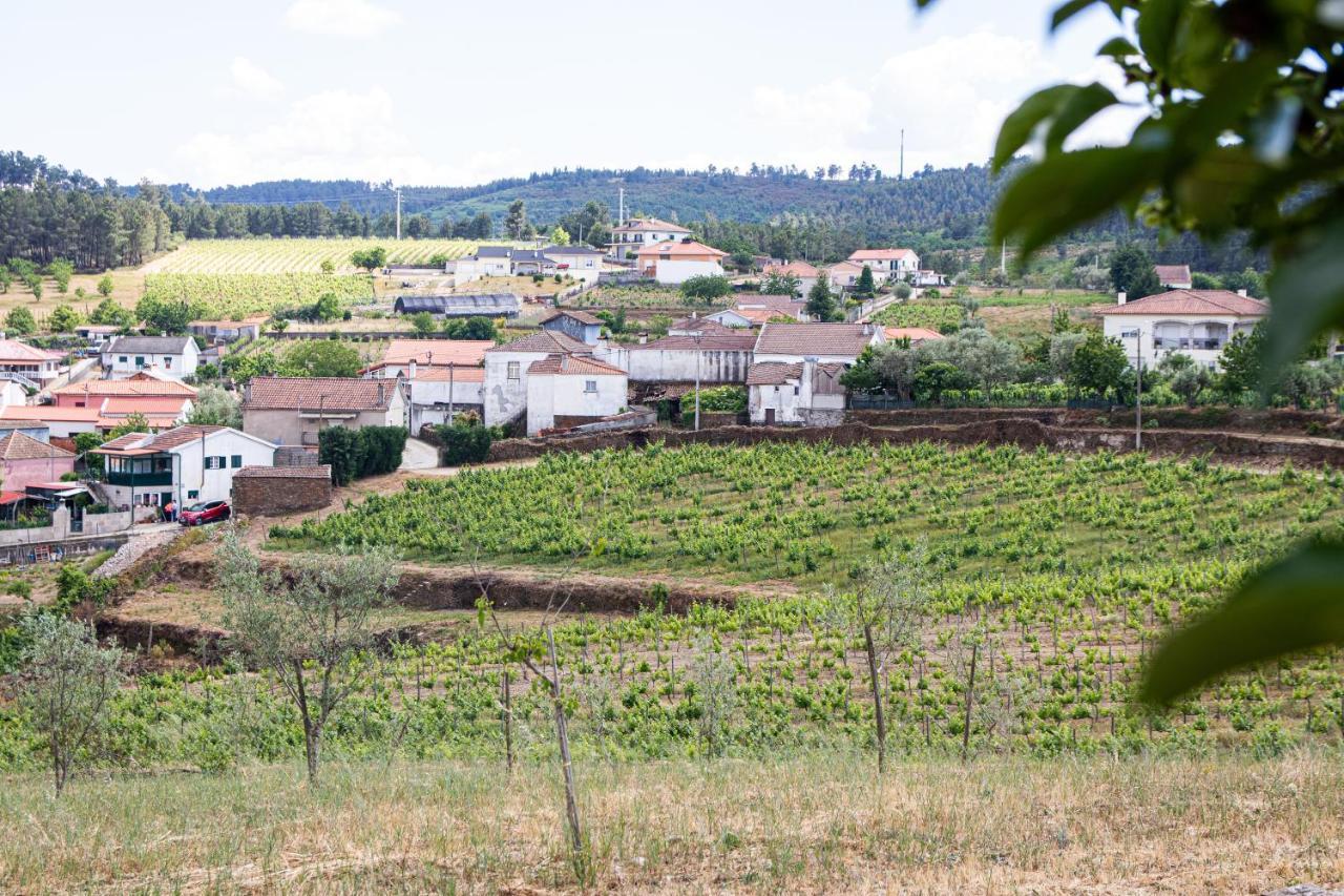 Quinta Da Eira Douro Valley Fermentoes  ภายนอก รูปภาพ