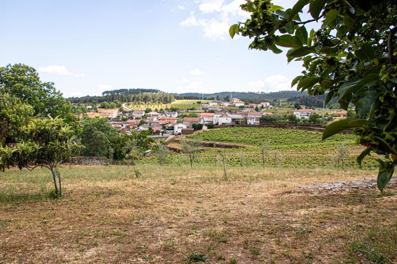 Quinta Da Eira Douro Valley Fermentoes  ภายนอก รูปภาพ